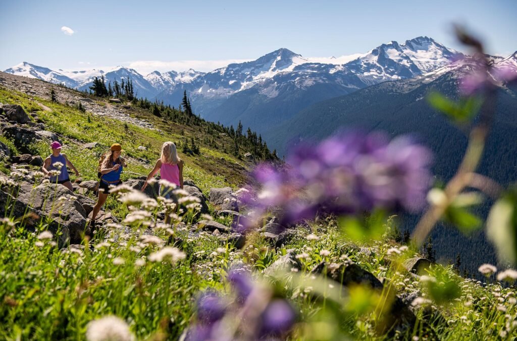 Unforgettable Trails: Exploring the Best Hikes in the Alps