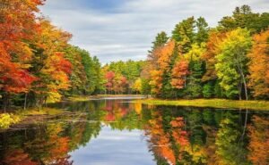 Chasing Color: Top Fall Foliage Getaways to Explore