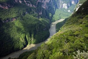 Embrace the Wild: Top Destinations for Nature Enthusiasts