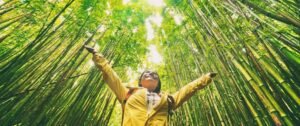 Travel Green: Your Comprehensive Guide to Sustainable Journeys