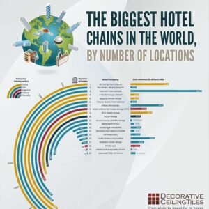 Top Hotel Chains That Deliver Consistent Quality Every Time
