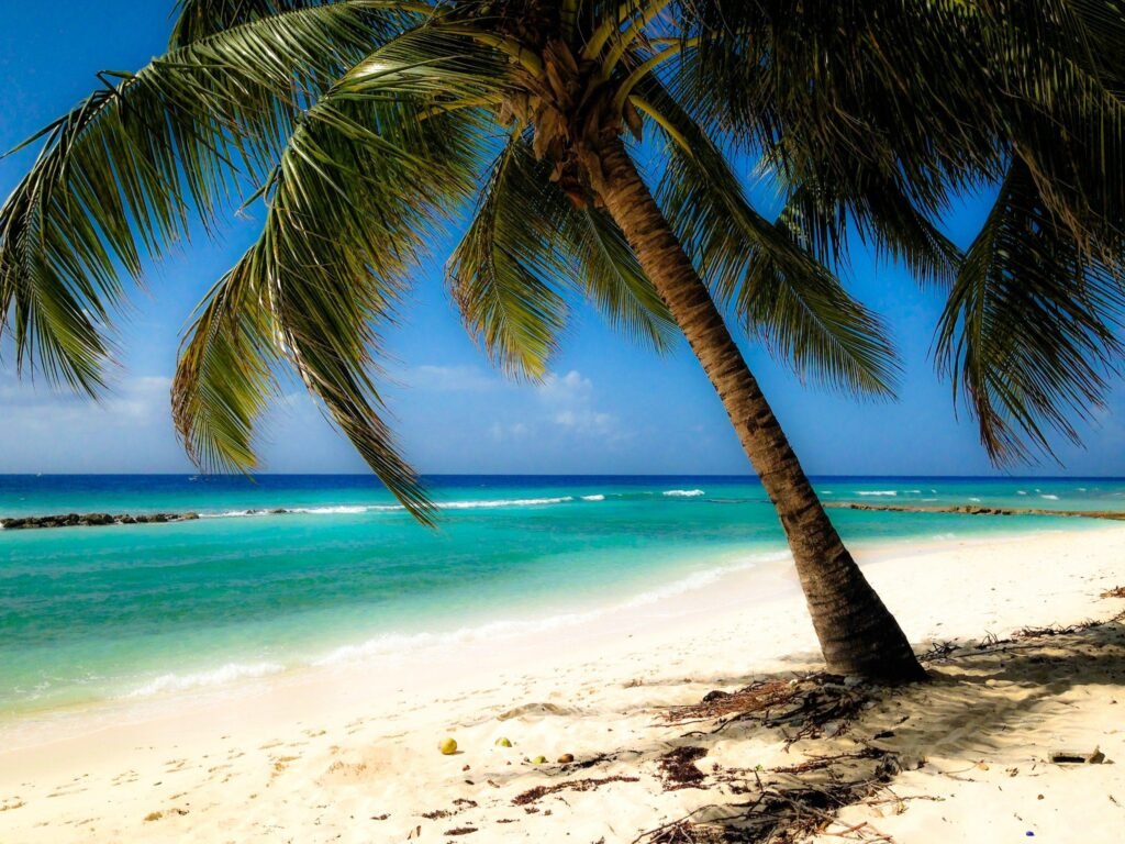 Explore Paradise: Top Tropical Beaches for Your Dream Escape