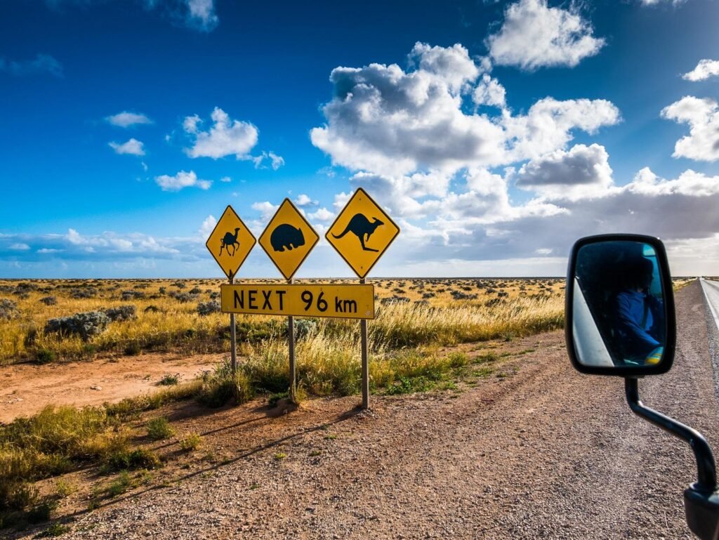 Wild Wonders on Wheels: Ultimate Road Trips for Wildlife