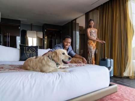 Unleashing Adventure: Your Guide to Pet-Friendly Hotels