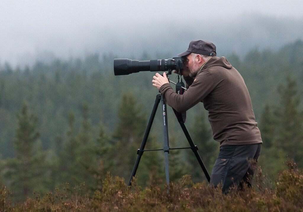 Explore Nature: The Ultimate Road Trips for Wildlife Watching