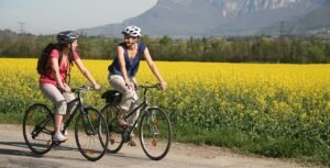 Epic Cycling Journeys: Discover Europe’s Top Road Routes