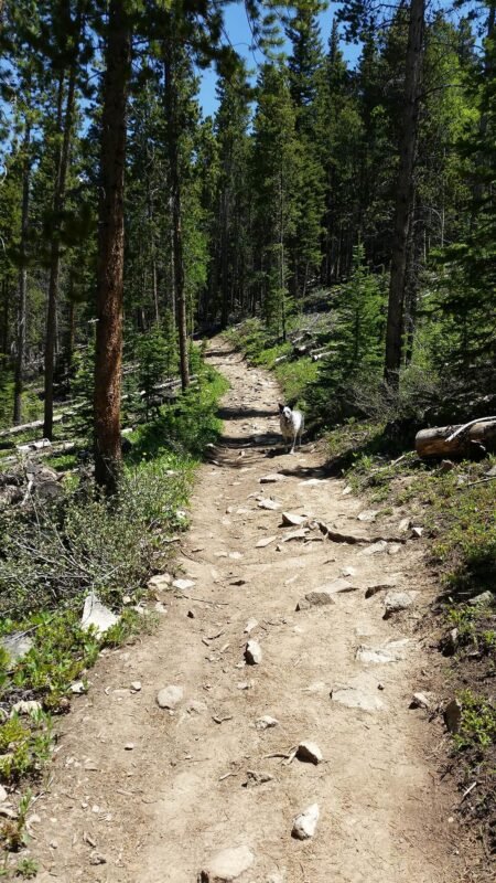 Top Hiking Trails That Will Ignite Your Adventurous Spirit