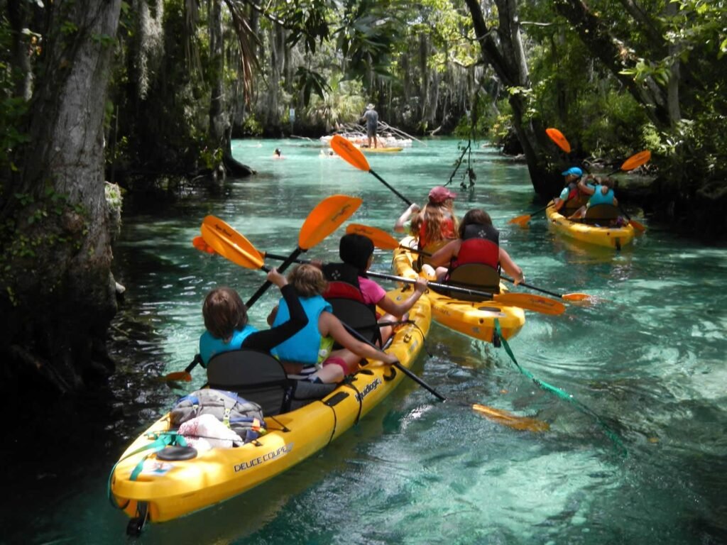 Explore the World: Top Eco-Adventures for Sustainable Travel