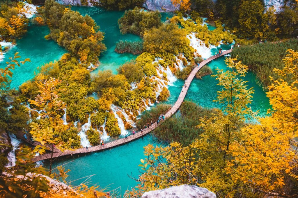 Chasing Beauty: Top Scenic Spots for Photography Lovers