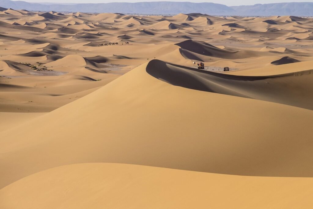 Explore the Extraordinary: Top Desert Destinations Await