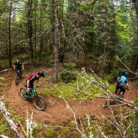 Explore the Wild: Premier Mountain Biking Trails for Adventurers