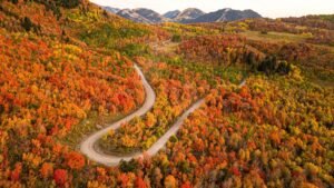 Chasing Colors: Top Fall Foliage Travel Destinations